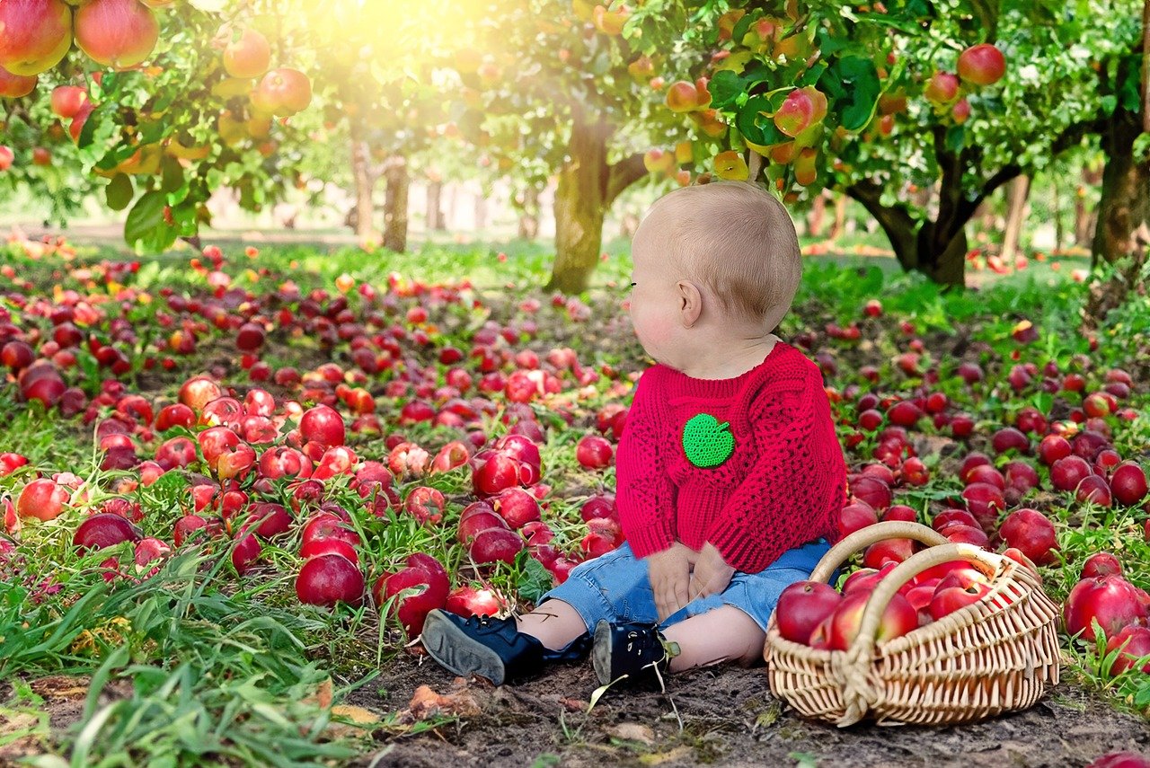 How to Create Your Own Backyard Orchard